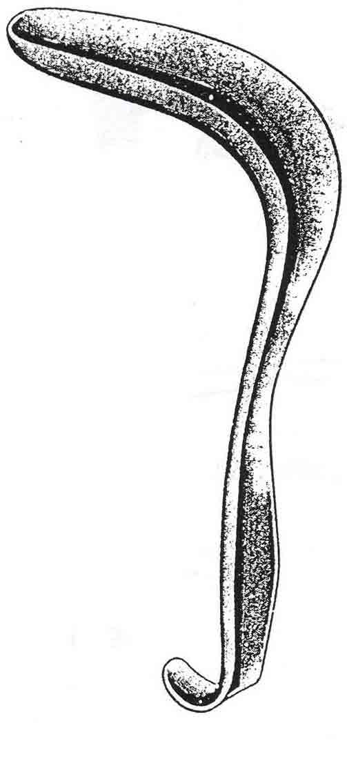 SİMS VAJİNAL SPEKULUM 3 LÜ SET